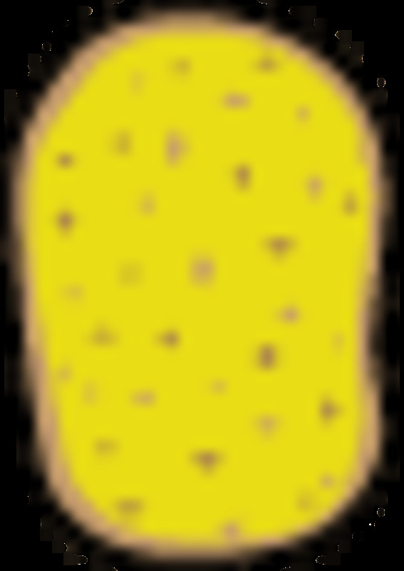 7.png